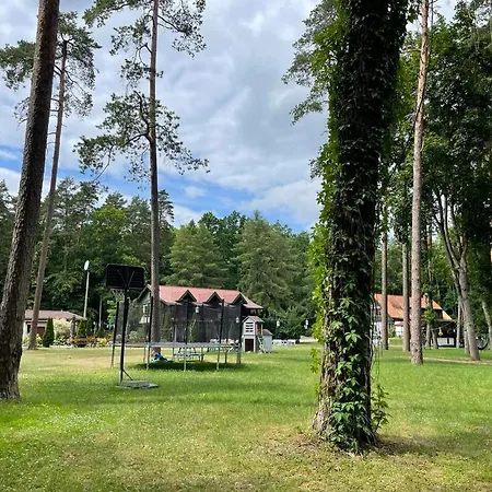 Cezar Ручане-Нида